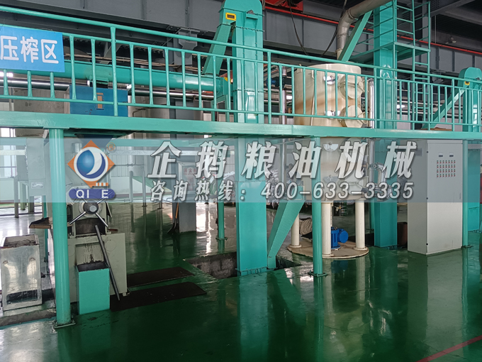 企鵝牌茶籽油雙螺桿榨油機，用心制造獲得客戶認可(圖2)